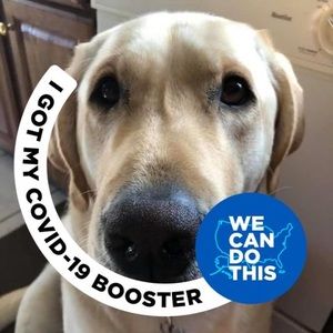 Meet your Posher, Susan